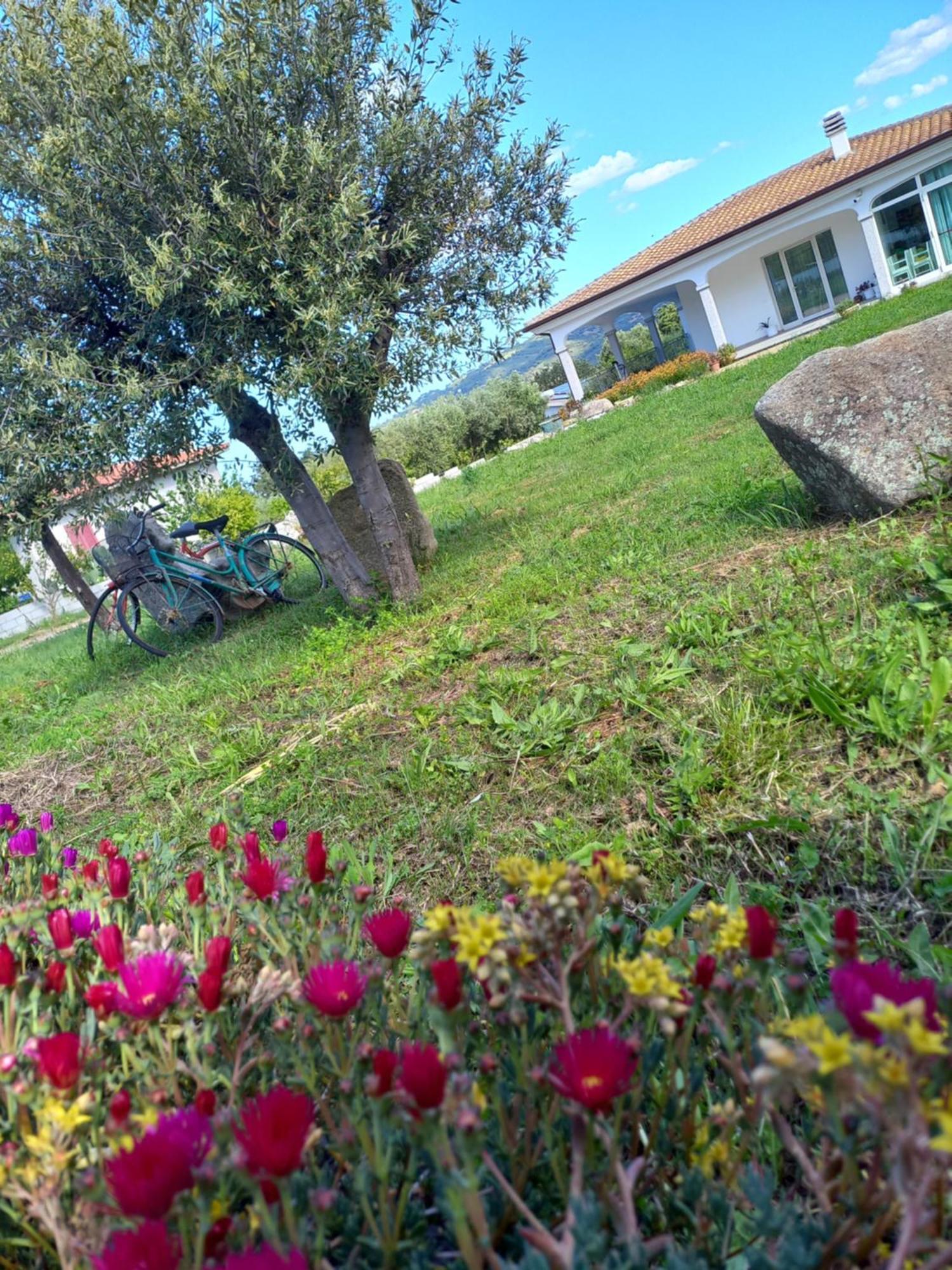 Agriturismo B&B Mares E Montes De Marrante Siniscola Exterior foto